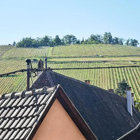 ✪ Le Convivial ✪ Duplex Alsacien ✪ Parking ✪ Rbnb✪ Appartement